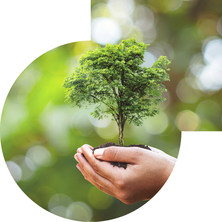 关怀人类、文化、环境与社会